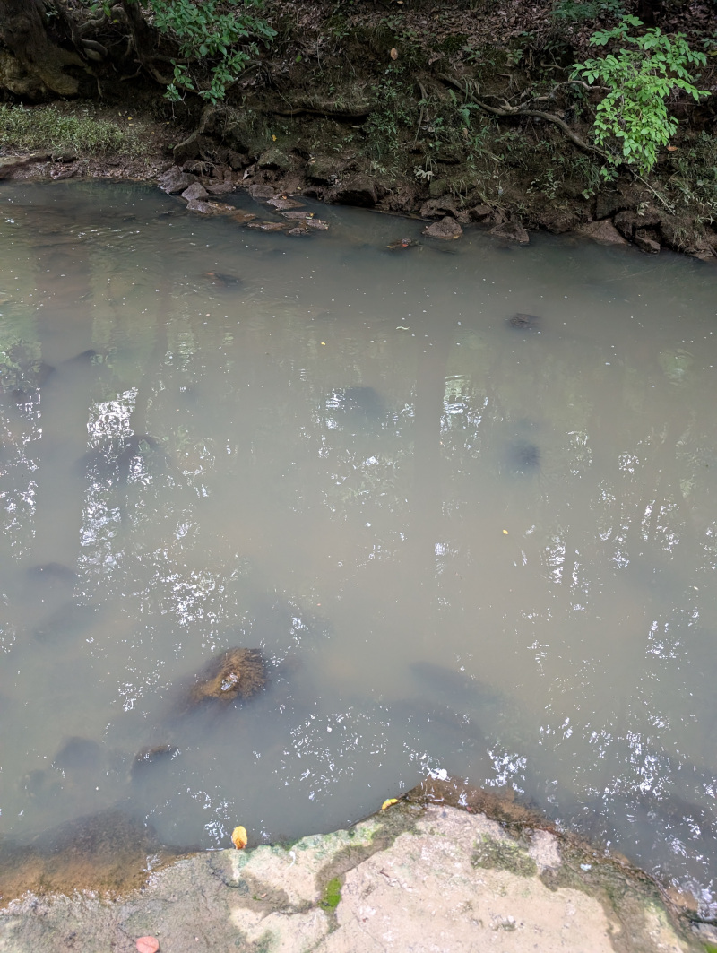 Water full of sewage flowing through the Stafford Civil War Park