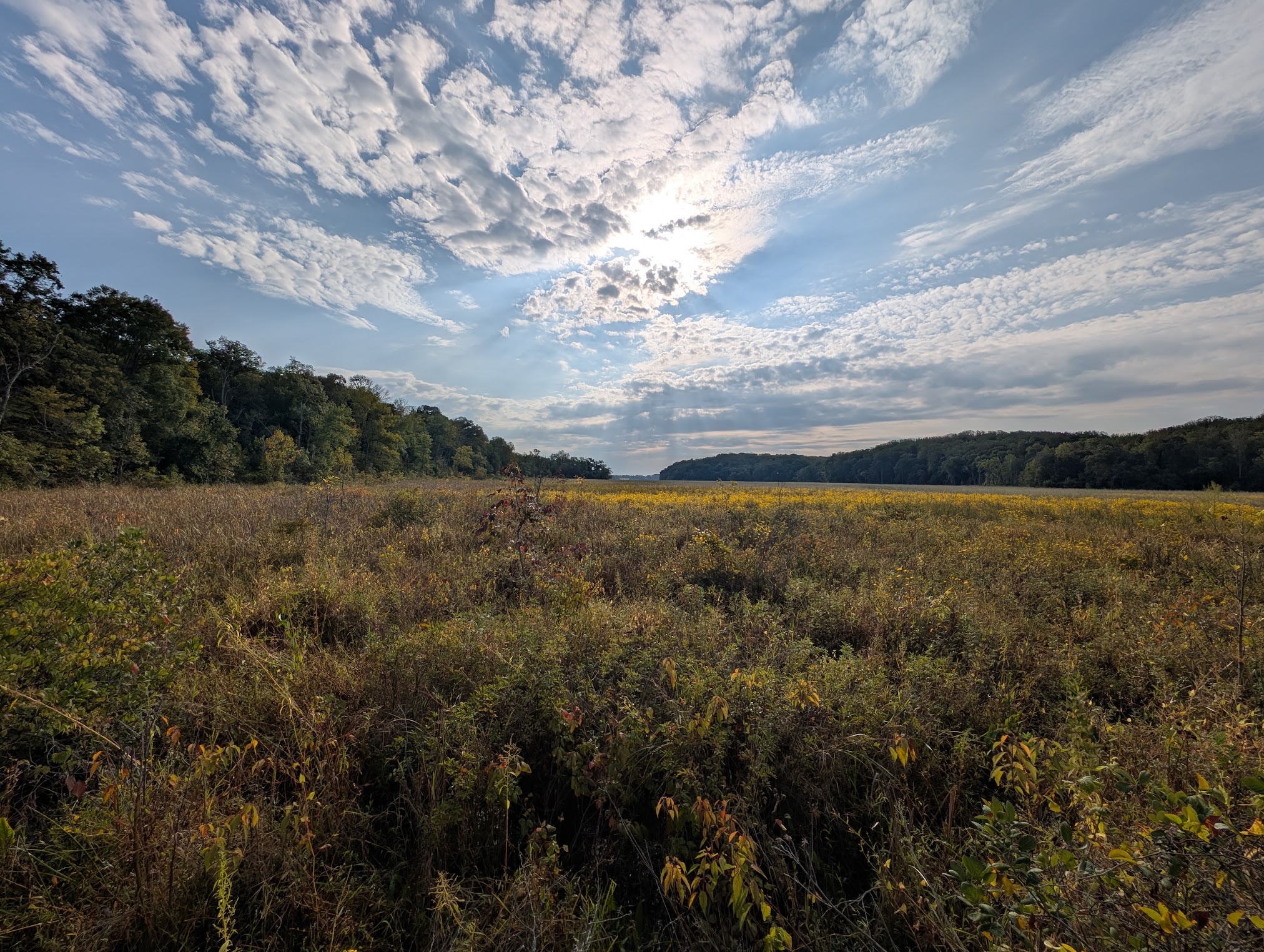 The Accokeek Creek Wetlands at Crow's Nest Canoe Launch