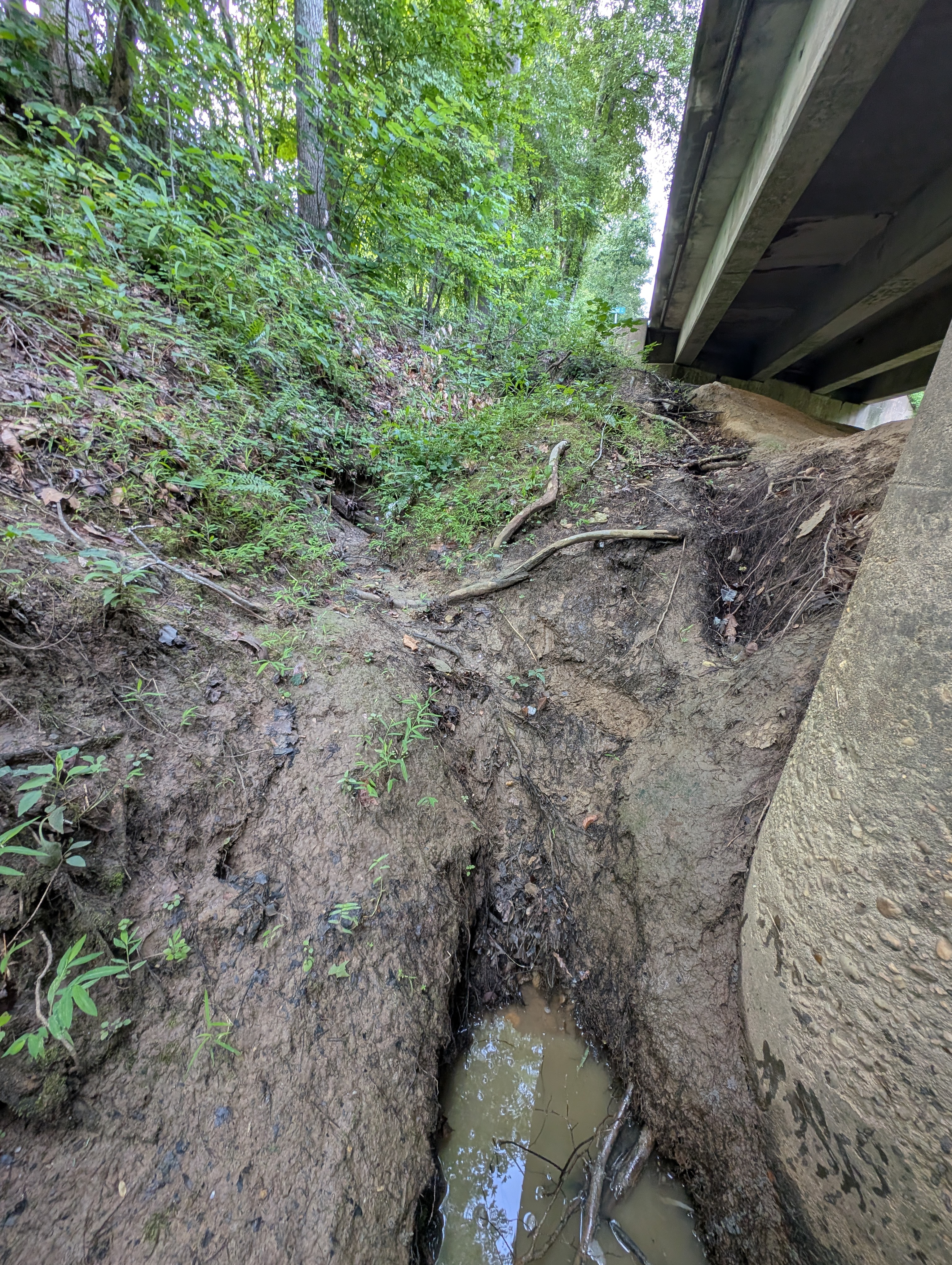 Heavily eroded channels from stormwater runoff from Potomac Run Road going down to Potomac Creek. August 15th, 2026