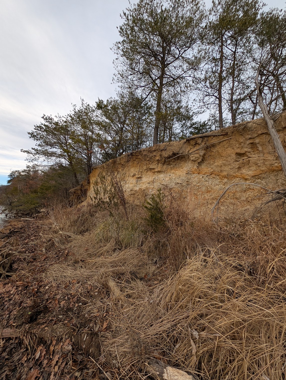A photo taken illustrating the severity of the erosion at Boykin's Landing. December 12th, 2025